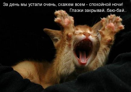 Cât de frumos Goodnight Goodnight dorește opțiuni din SMS, prieten, prietenă, (frumos) Cât de frumos Goodnight Goodnight dorește opțiuni din SMS, barbat, femeie,