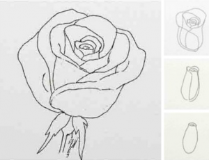 Как да се направи една роза рисунка с молив поетапно схема