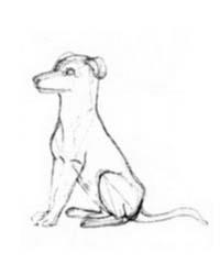 Cum de a desena un câine (câine cum să atragă pas cu pas) Cum să atragă un câine