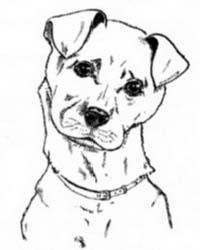 Cum de a desena un câine (cum să atragă un câine) Cum să atragă un câine