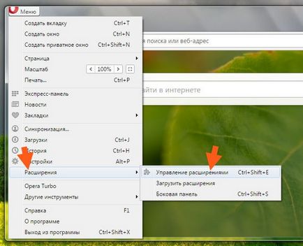 Cum se dezactivează Yandex Market Advisor, grozza (cum să dezactivați Advisor Yandex Market) Cum se dezactivează Yandex Market Advisor, grozza