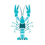 Ce piatra pentru Varsator horoscop (horoscop) Ce piatra pentru Varsator horoscop