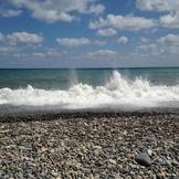 Cum de a desena o floare (invata culori caracteristici asociate) Cum de a desena o floare