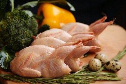 Cum de a găti prepelita, ls (delicios) Cum de a găti prepelita, ls