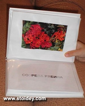 Cum să-și petreacă săptămâna temă toamna copil (lecție tematică) Cum să-și petreacă săptămâna temă toamna copil