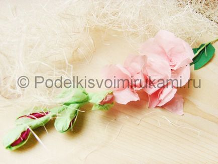 Cum sa faci o gladiole de hârtie (hârtia cu mâinile) Cum de a face gladiole de hârtie