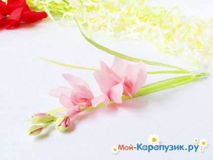 Cum sa faci o gladiole de hârtie cu mâinile (mâini) Cum sa faci o gladiole de hârtie cu propriile mâini