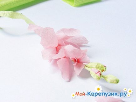Cum sa faci o gladiole de hârtie cu mâinile lor (lor) Cum sa faci o gladiole de hârtie cu propriile mâini