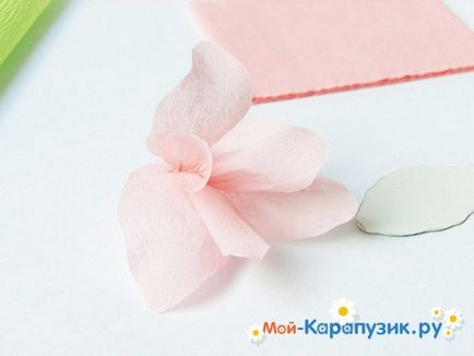 Cum sa faci o gladiole de hârtie cu mâinile (mâini) Cum sa faci o gladiole de hârtie cu propriile mâini