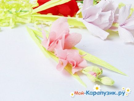 Cum sa faci o gladiole de hârtie cu mâinile (gladiole) Cum sa faci o gladiole de hârtie cu propriile mâini