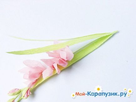 Cum sa faci o gladiole de hârtie cu mâinile (do) Cum sa faci o gladiole de hârtie cu propriile mâini