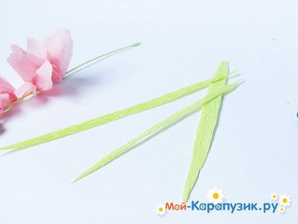 Cum sa faci o gladiole de hârtie cu mâinile (mâini) Cum sa faci o gladiole de hârtie cu propriile mâini