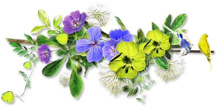 Calendarul grower 2017 - masă de plantare lunar (grădină de flori) Calendarul grower 2017 - tabel de plantare lunar