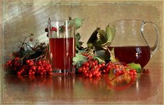 Kalina alergie - rețete tradiționale (alergii la copii Viburnum împotriva infuzare scoarță de copac decoctul) Kalina alergie - retete populare