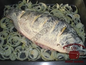Cartofi Karp (coapte crap) Carp cu cartofi