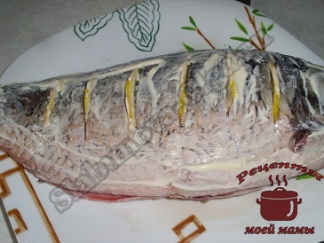 Cartofi Karp (coapte crap) Carp cu cartofi