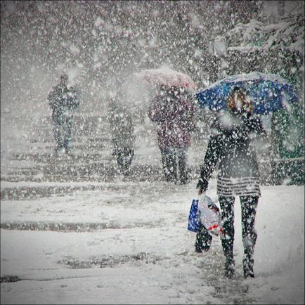 poze Snowing (poze) Fotografii Ninge