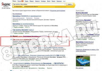 SEO-promovare cazul companiei - oceanul său (Internet) Cauza SEO-promovare a companiei - oceanul său