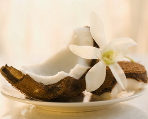 Nucă de cocos (nuca de cocos) nucă de cocos