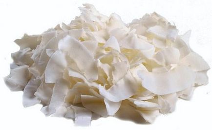 avantaje și prejudicii de nucă de cocos, proprietăți utile (proprietăți) avantaje și prejudicii de nucă de cocos, proprietăți utile