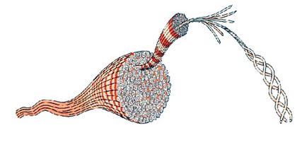 Kollagenirovanie păr (kollagenirovanie de păr) păr Kollagenirovanie