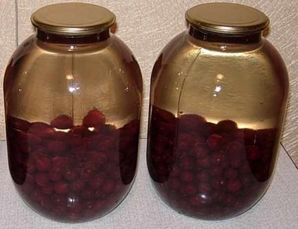 cireșe Canning (cires) cireșe Preserves