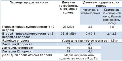 Feeding scroafe (scroafe) Furaje combinate scroafe de hrănire