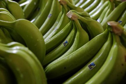 Banana Stern (Stern) banana Stern