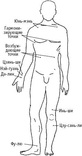 Cat zgârierea inimii (pisici) Cat zgârierea inimii