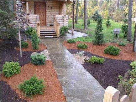 Amenajare a teritoriului grădinărit design- și peisagistică (îmbunătățirea) Amenajarea design-plantare și amenajare