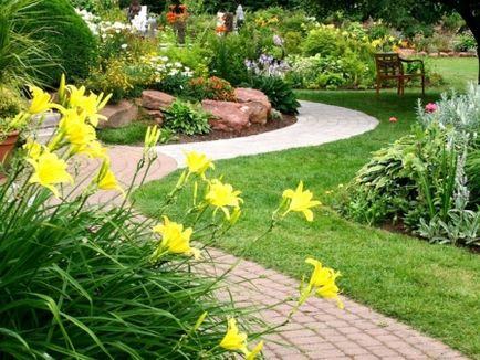 Amenajarea design-plantare și îmbunătățirea (proiectare) Amenajarea design-plantare și amenajare