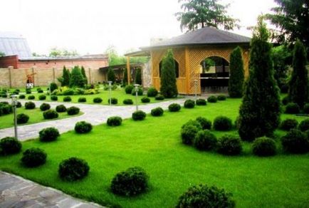 Amenajarea design-plantare și îmbunătățirea (proiectare) Amenajarea design-plantare și amenajare