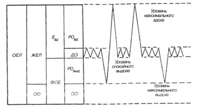 ventilație pulmonară - fiziologie respiratorie (manuale) ventilație pulmonară - fiziologie respiratorie
