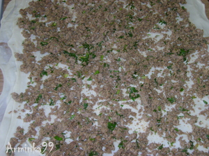 Tortilla cu pas reteta de carne cu pas, cu fotografii (pentru a fi coapte Ends) Tortilla cu fotografii reteta carne-pas