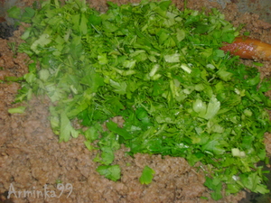 Tortilla cu pas reteta de carne cu pas, cu fotografii (pentru a fi coapte Ends) Tortilla cu fotografii reteta carne-pas