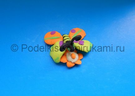 plastilină Modelare fluture (fluture) Modelarea fluture realizate din plastilină
