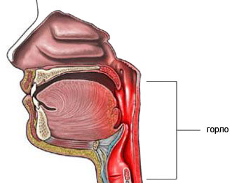 ORL oncologie - tratamentul cancerului gâtului, a laringelui și faringelui (tractului respirator superior) ORL oncologie - tratamentul cancerului de gât, laringe și faringelui