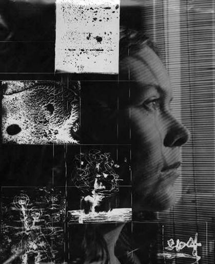 Creat de bass saul ( «Omul cu brațul de aur Realizat de Saul Bass