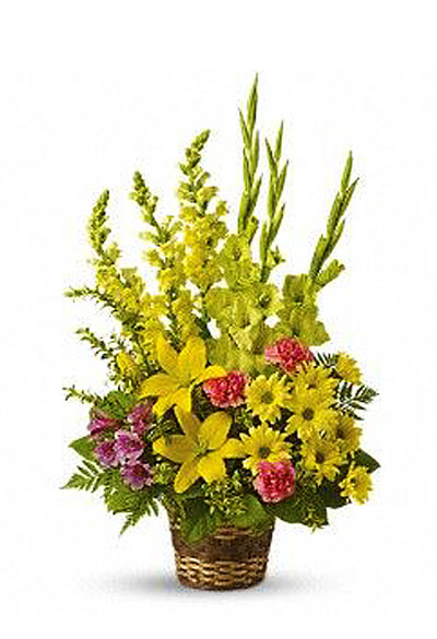 gladiole Mondiale alcătuiesc un buchet de gladiole © Lazarevic t (gladiole) gladiole Mondiale alcătuiesc un buchet de gladiole © Lazarevic T