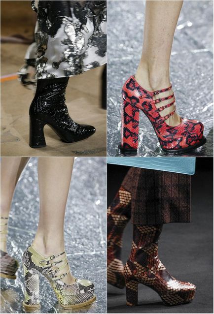 pantofi de moda toamna-iarna 2016-2017 (pantofi) pantofi la modă toamna-iarna 2016-2017