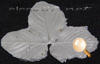 Matrițe cu mâinile lor la modul de a face ceramica din lut polimeric silicon Mold floristica (Floristica ceramice) Matrițe cu mâinile lor la modul de a face argila polimer silicon Mold floristica ceramice