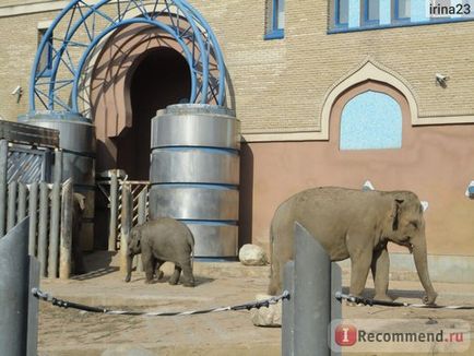 Moscova Zoo, București - „direcții Moscova Zoo, prețuri, animale (get) Moscova Zoo, București - „Moscova Zoo direcții, prețuri, animale