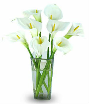 Pot da calla (posibil) Pot da calla