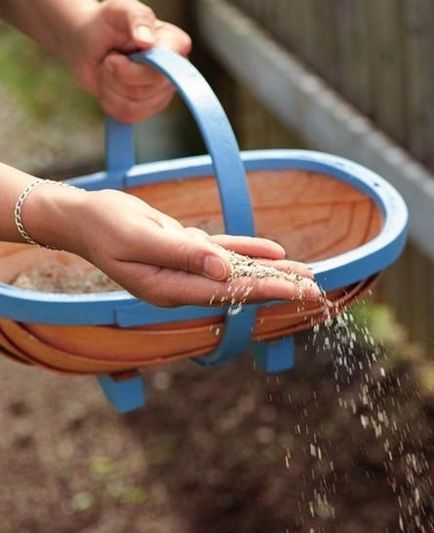 Va pune o poiană, gazon sau amestecuri de flori pentru gradina (flori) Va pune o poiană, gazon sau amestecuri de flori pentru gradina