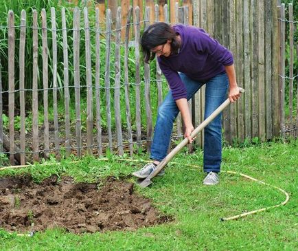 Va pune o poiană, gazon sau amestecuri de flori pentru gradina (gazon) Va pune o poiană, gazon sau amestecuri de flori pentru gradina
