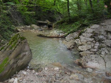 În domeniul de la Marea Neagră (mare) În domeniul de la Marea Neagră