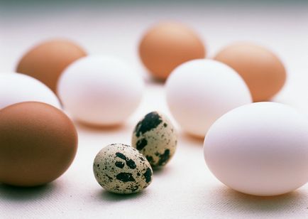 Omletă rețete vechi copil 1 an, de la ce vârstă pot găti (ani) Omletă rețete vechi copil 1 an, de la ce vârstă pot găti