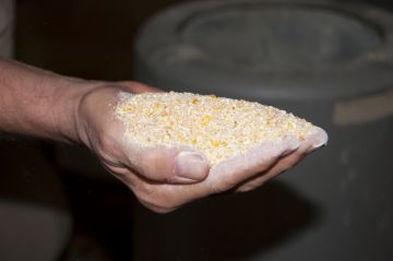 Caracteristici ale broiler de creștere la domiciliu în celulele (pui de carne) Caracteristici ale broiler de creștere de la domiciliu în celulele