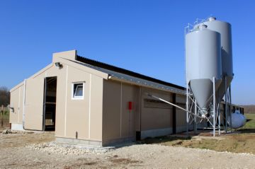 Caracteristici ale broiler de creștere la domiciliu în celulele (în creștere pui de carne cuști de origine hrănire aranjament de ventilație de iluminat) Caracteristici ale broiler de creștere de la domiciliu în celulele