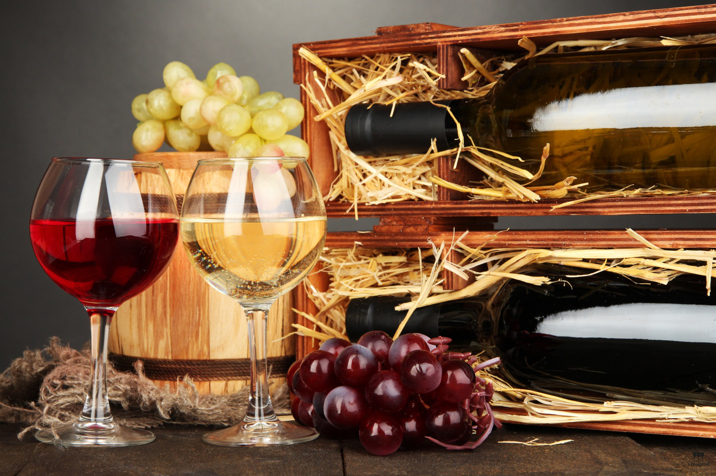 Diferențele dintre vechi și noi vinuri ale lumii (vin alb) Diferențele dintre vechi și noi vinuri ale lumii